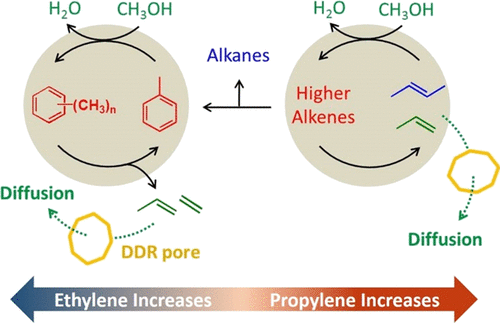 Methanol-to-Olefin Conversion over Small-Pore DDR Zeolites