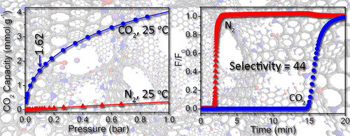 Superior Capture of CO2 Achieved by Introducing Extra-framework Cations into N-doped Microporous Carbon
